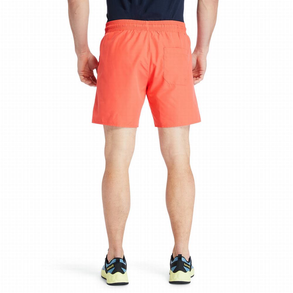 Pánské Šortky Timberland Sunapee Lake Solid-colour Swim Červené | TI02361-681