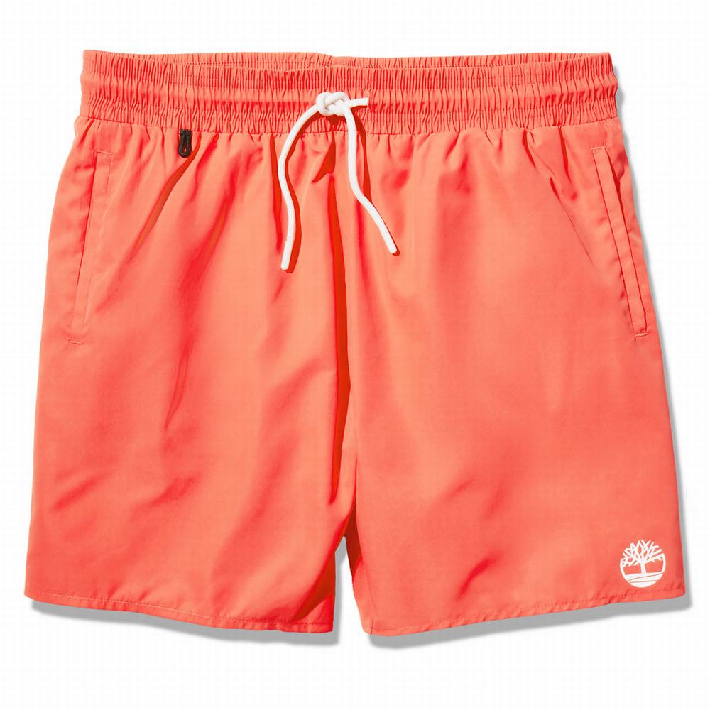 Pánské Šortky Timberland Sunapee Lake Solid-colour Swim Červené | TI02361-681