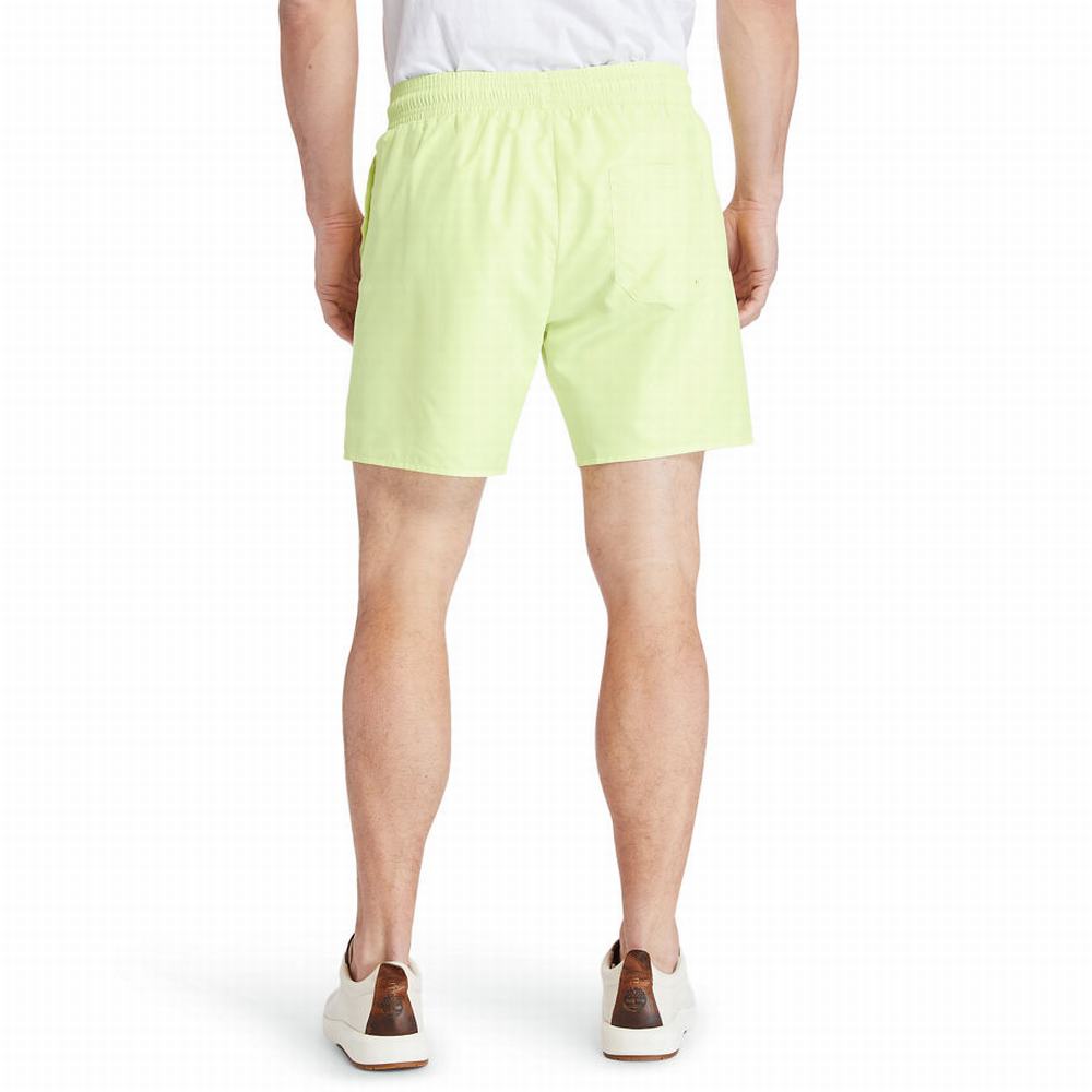 Pánské Šortky Timberland Sunapee Lake Solid-colour Swim Světle Zelene | TI26170-872