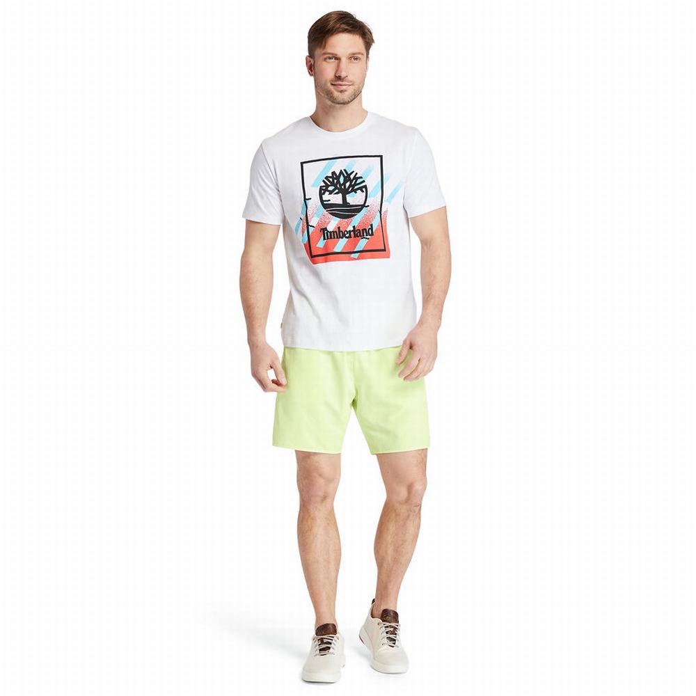 Pánské Šortky Timberland Sunapee Lake Solid-colour Swim Světle Zelene | TI26170-872