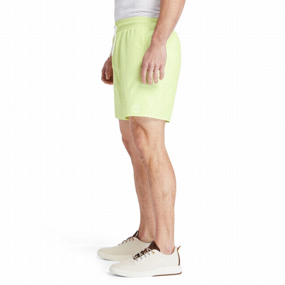 Pánské Šortky Timberland Sunapee Lake Solid-colour Swim Světle Zelene | TI26170-872