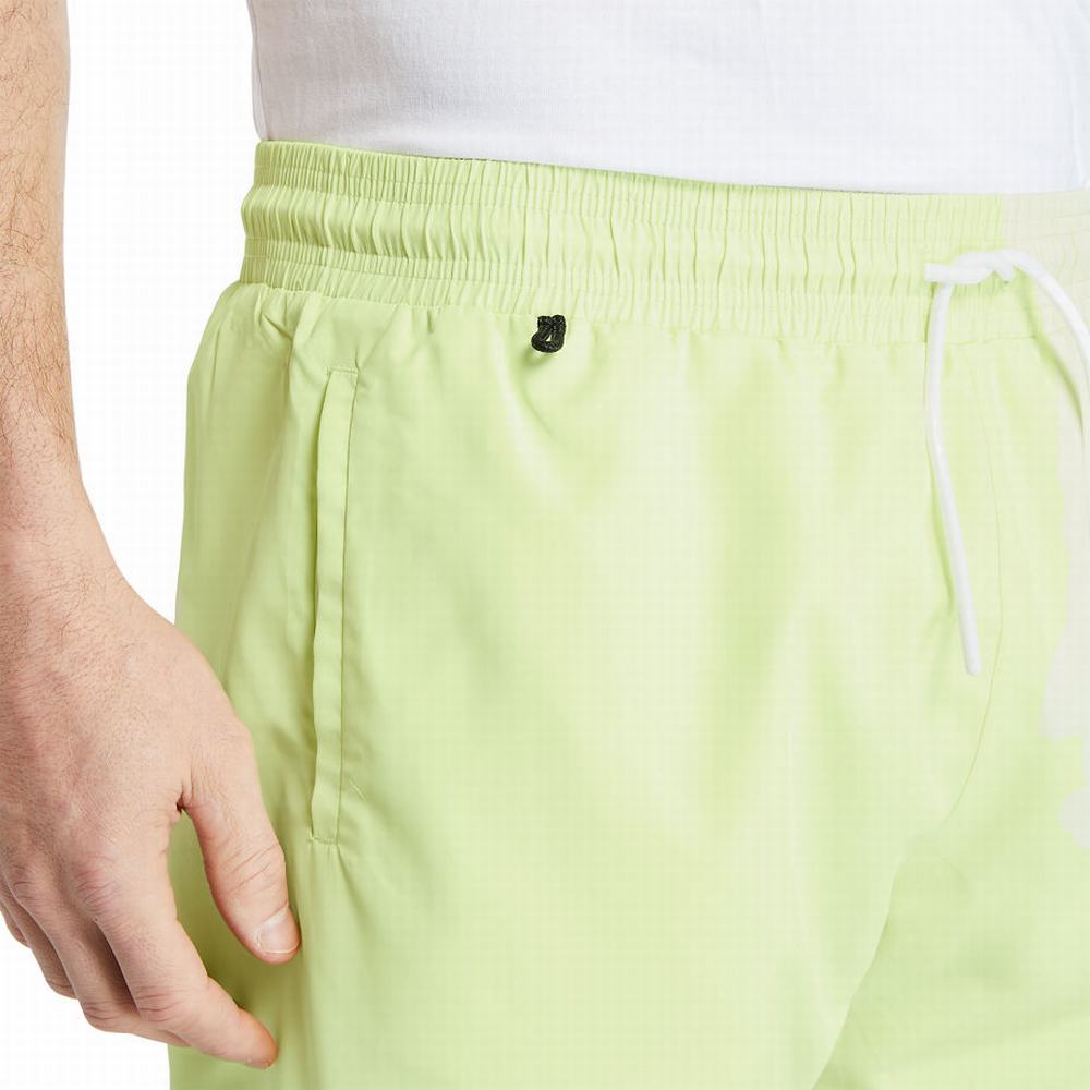 Pánské Šortky Timberland Sunapee Lake Solid-colour Swim Světle Zelene | TI26170-872