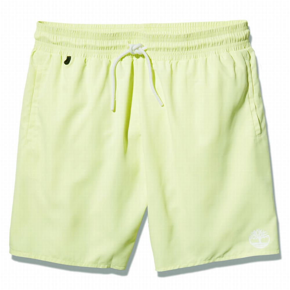 Pánské Šortky Timberland Sunapee Lake Solid-colour Swim Světle Zelene | TI26170-872