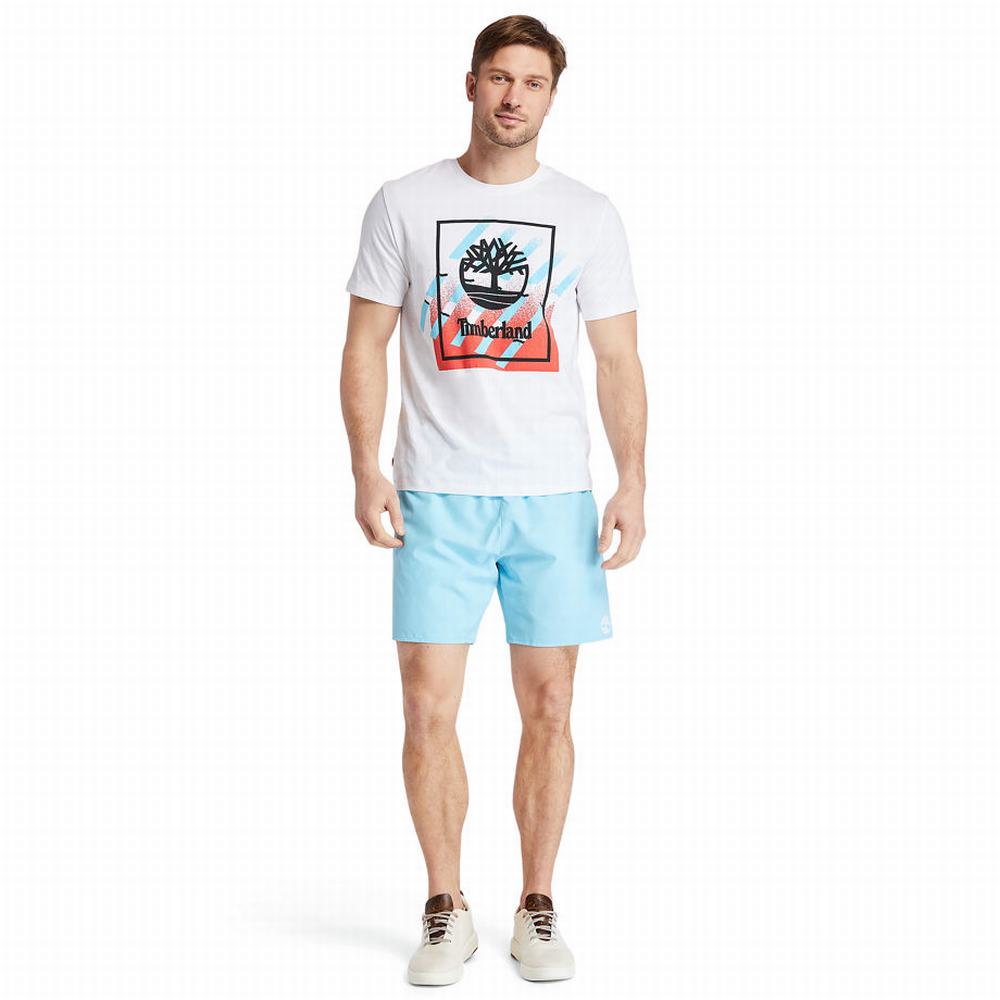 Pánské Šortky Timberland Sunapee Lake Solid-colour Swim Blankyt | TI98234-519