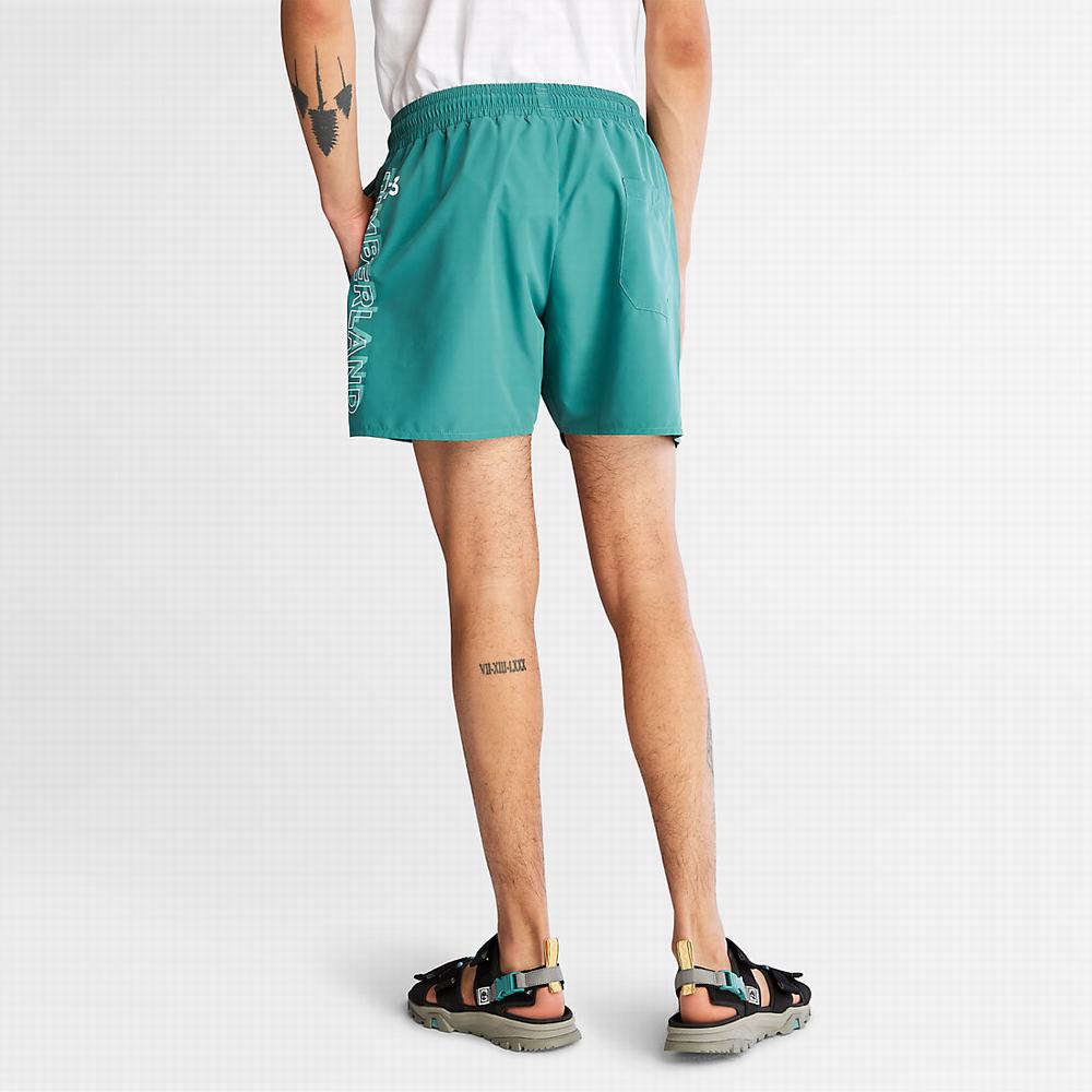Pánské Šortky Timberland Sunapee Lake Swim Zelene | TI71583-028