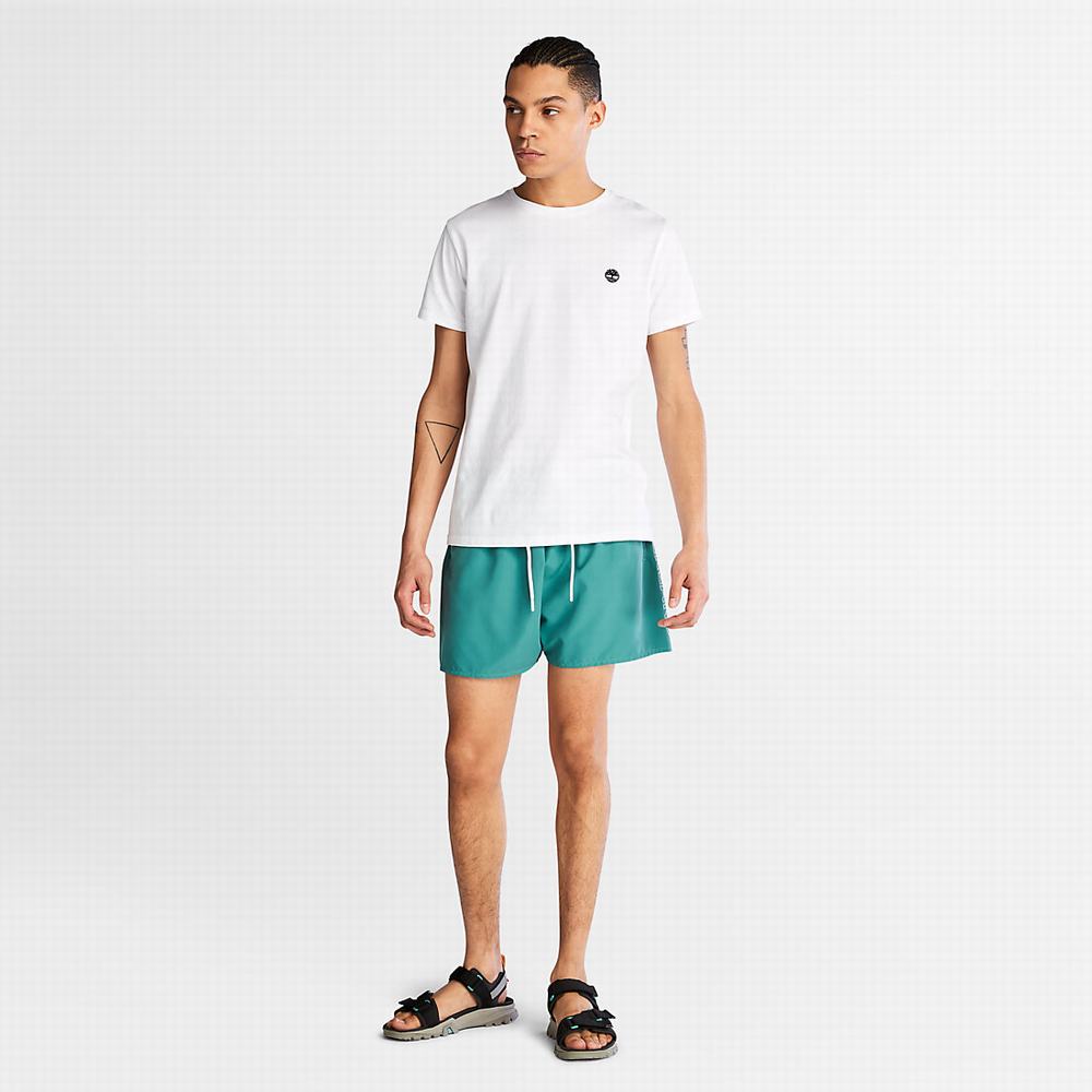 Pánské Šortky Timberland Sunapee Lake Swim Zelene | TI71583-028
