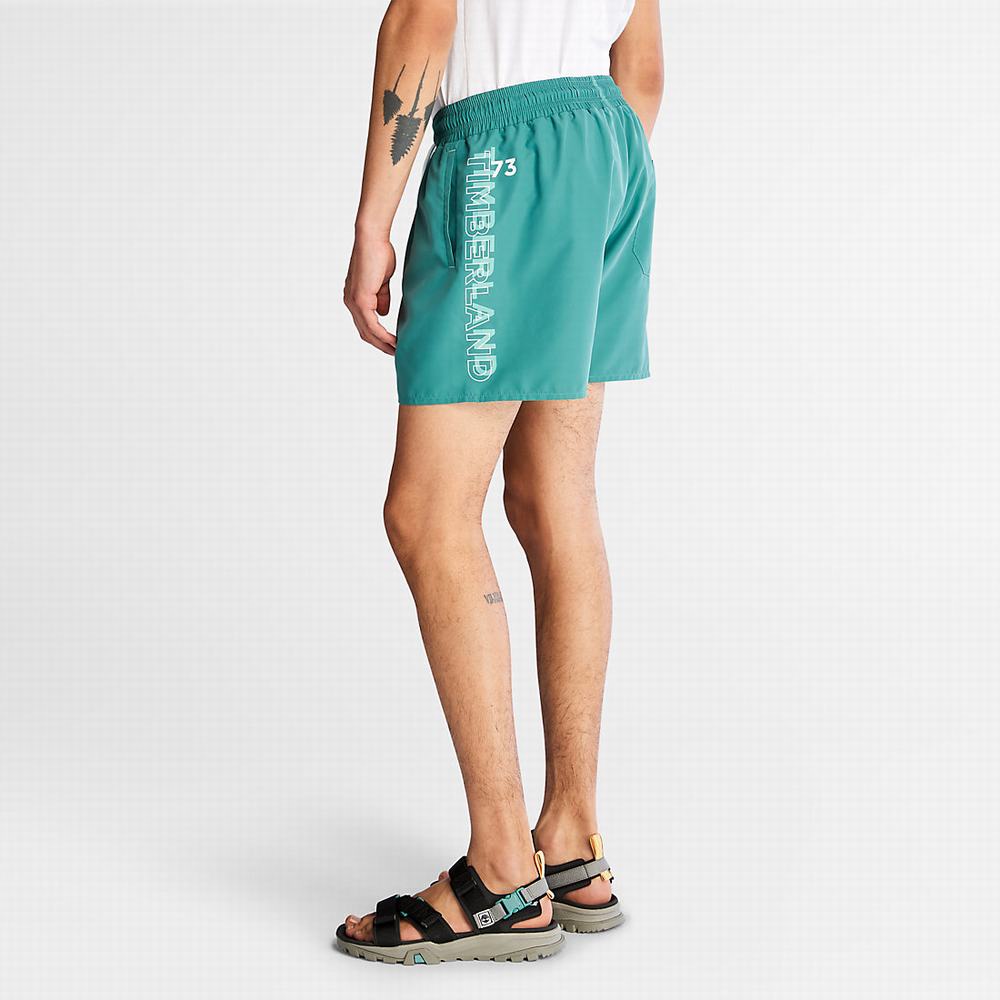 Pánské Šortky Timberland Sunapee Lake Swim Zelene | TI71583-028