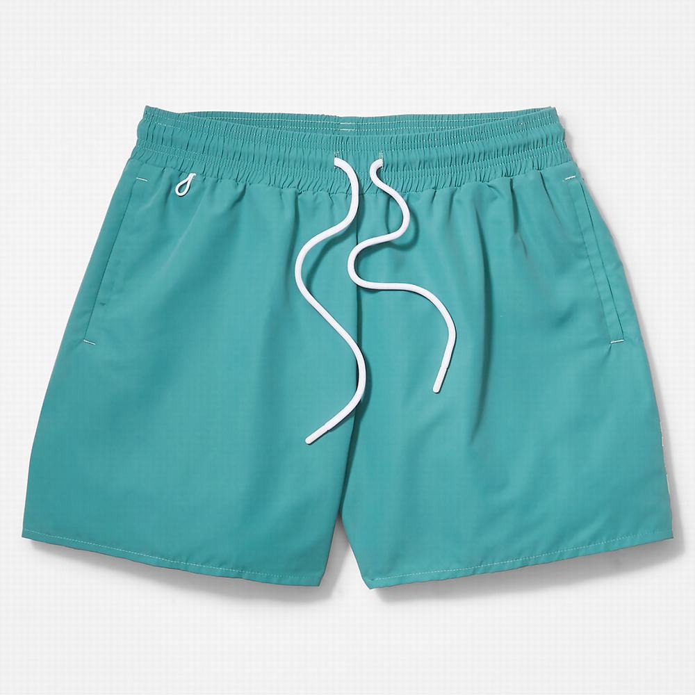 Pánské Šortky Timberland Sunapee Lake Swim Zelene | TI71583-028