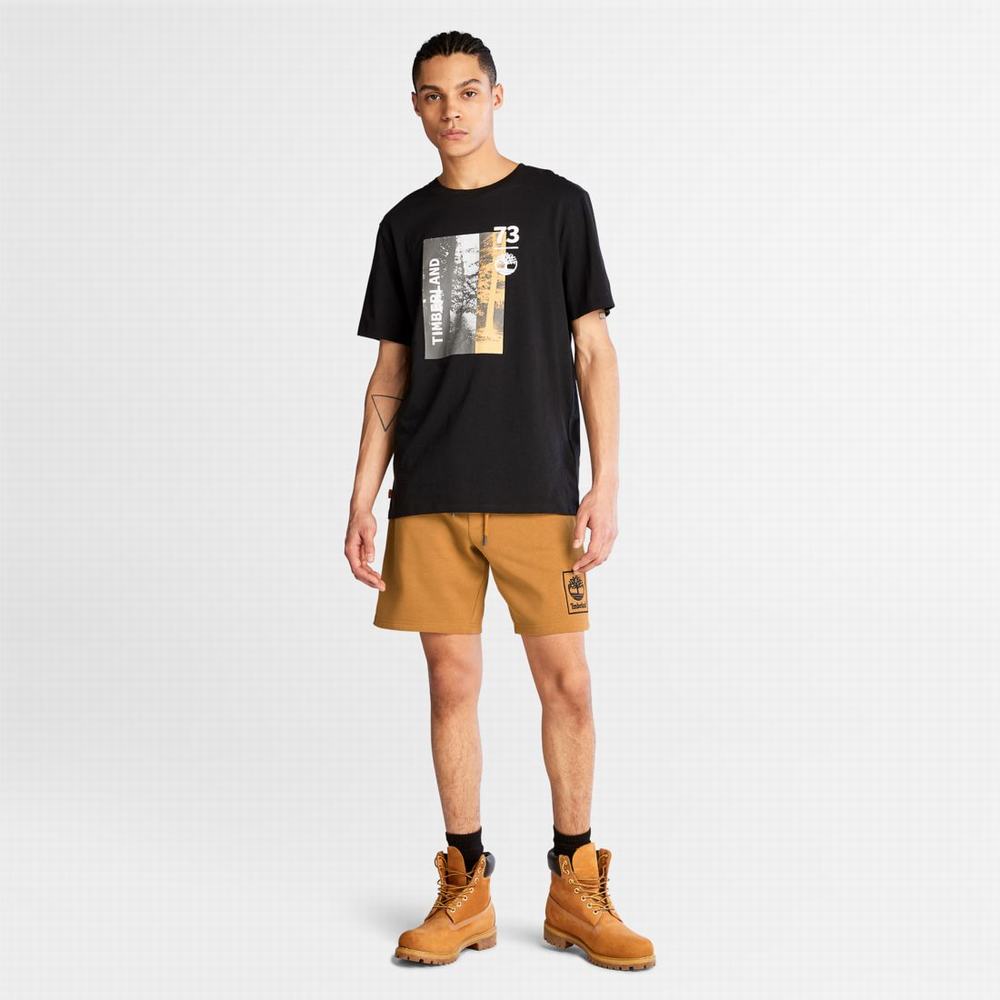 Pánské Šortky Timberland Sweatshorts Hnědé | TI71598-075