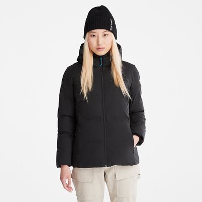 Dámské Bundy Timberland Down-Free Insulated Černé | TI58467-839
