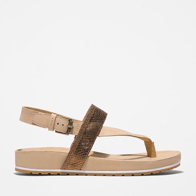 Dámské Sandály Timberland Malibu Beach Flip-Flop Béžový | TI13246-795