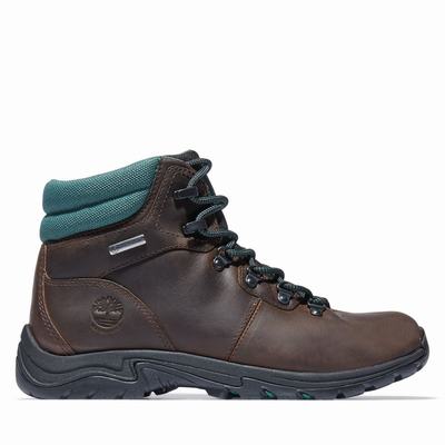 Dámské Trekové Boty Timberland Mount Maddsen Hiker Tmavě Hnědé | TI23719-341