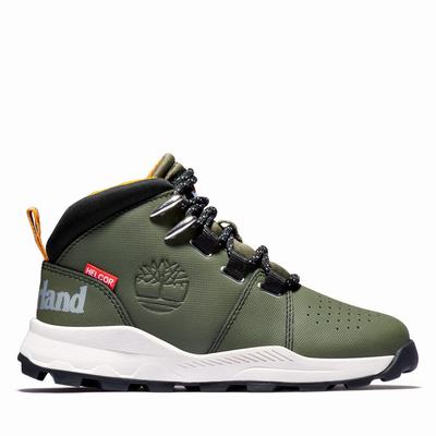 Dětské Tenisky Timberland Brooklyn Lace-Up Zelene | TI17265-572