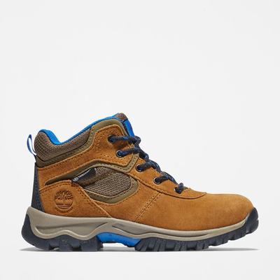 Dětské Trekové Boty Timberland Mt. Maddsen Waterproof Hnědé | TI89623-945