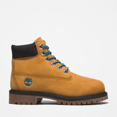 Dětské Zimní Boty Timberland Premium 6-Inch Waterproof Hnědé Blankyt | TI71089-801