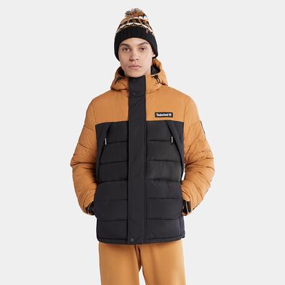 Pánské Bundy Timberland Outdoor Archive Vody-Resistant Puffer Černé | TI01589-372