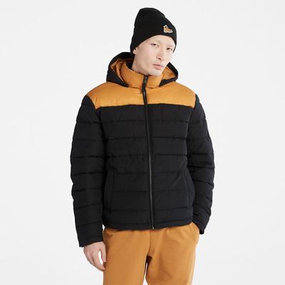 Pánské Bundy Timberland South Twin Černé Žluté | TI64879-179