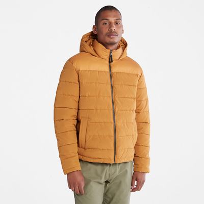 Pánské Bundy Timberland South Twin Žluté | TI50829-639