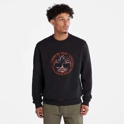 Pánské Mikiny Timberland Little Cold River Boucle Crewneck Černé | TI56927-983