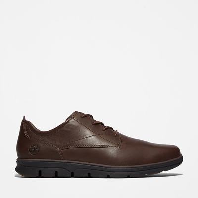 Pánské Oxford Boty Timberland Bradstreet Plain Špicí Hnědé | TI01592-274