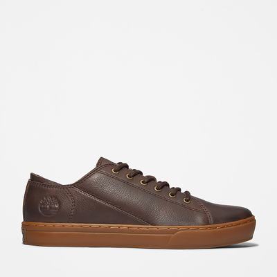Pánské Tenisky Timberland Adventure 2.0 Tmavě Hnědé | TI58463-493
