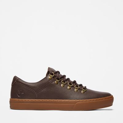 Pánské Tenisky Timberland Adventure 2.0 Cupsole Alpine Tmavě Hnědé | TI76830-927