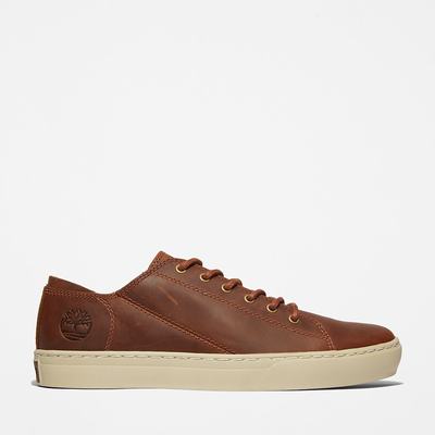 Pánské Tenisky Timberland Adventure 2.0 Světle Hnědé | TI79530-304