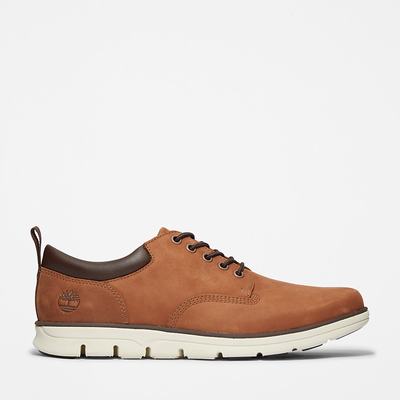 Pánské Tenisky Timberland Bradstreet Leather Oxford Hnědé | TI90176-158