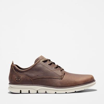 Pánské Tenisky Timberland Bradstreet Tmavě Hnědé | TI48029-075