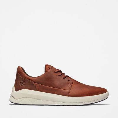 Pánské Tenisky Timberland Bradstreet Ultra Hnědé | TI90347-590