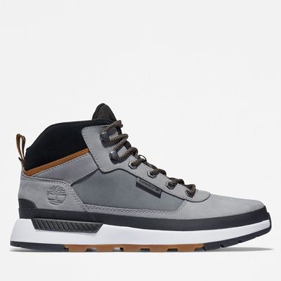 Pánské Tenisky Timberland Field Trekker Šedé | TI80697-283