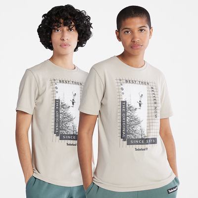 Pánské Tričko Timberland All Gender Heavyweight Front-Graphic T-Shirt Světle Šedé | TI13709-874