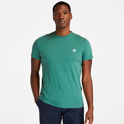 Pánské Tričko Timberland Dunstan River Crew T-Shirt Zelene | TI17302-304