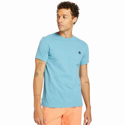 Pánské Tričko Timberland Dunstan River Crew Tee Blankyt | TI86201-809