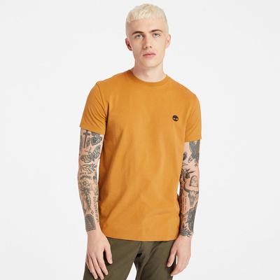 Pánské Tričko Timberland Dunstan River Crew Tee Žluté | TI86243-217