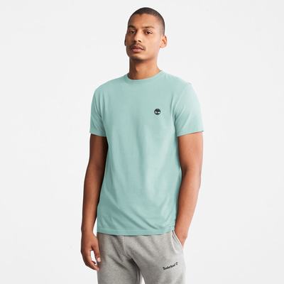 Pánské Tričko Timberland Dunstan River T-Shirt Světle Zelene | TI34287-083