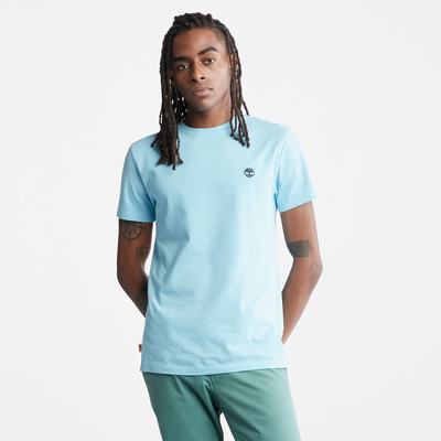 Pánské Tričko Timberland Dunstan River T-Shirt Blankyt | TI39802-013