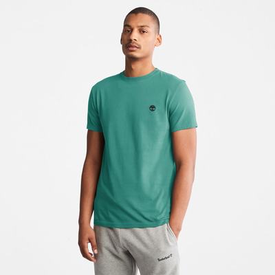 Pánské Tričko Timberland Dunstan River T-Shirt Zelene | TI65489-098