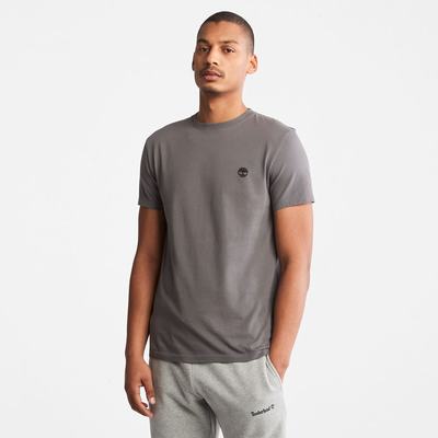 Pánské Tričko Timberland Dunstan River T-Shirt Šedé | TI72856-231