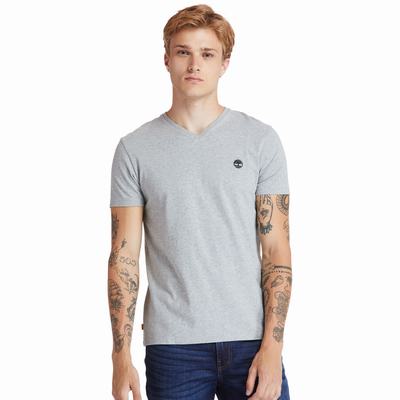 Pánské Tričko Timberland Dunstan River V-Neck T-Shirt Šedé | TI65038-340