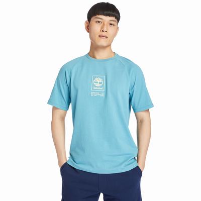 Pánské Tričko Timberland Heavyweight Logo T-Shirt Blankyt | TI19207-743
