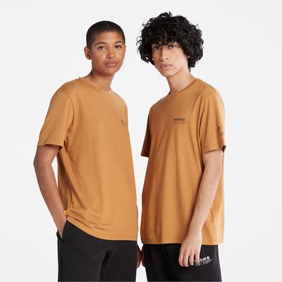 Pánské Tričko Timberland Luxe Pohodlí Essentials Tencel™ x Refibra™ T-Shirt Světle Hnědé | TI06592-276