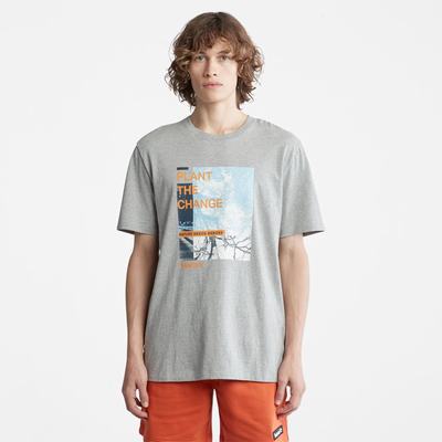 Pánské Tričko Timberland Nature Needs Heroes™ Front-Graphic T-Shirt Šedé | TI63204-408
