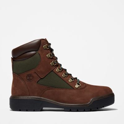 Pánské Zimní Boty Timberland 6-Inch Waterproof Field Tmavě Hnědé | TI08137-371