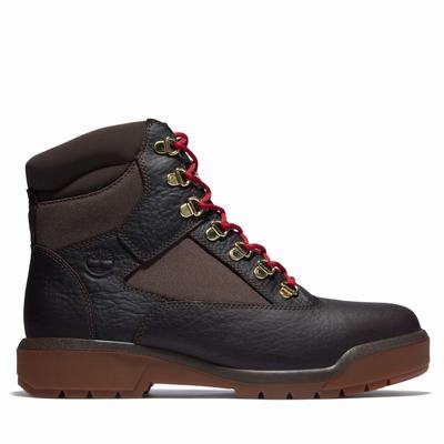 Pánské Zimní Boty Timberland 6-Inch Waterproof Field Tmavě Hnědé | TI61253-276