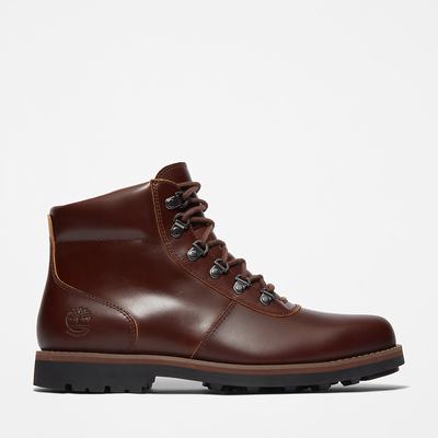 Pánské Zimní Boty Timberland Alden Brook Hnědé | TI96538-562