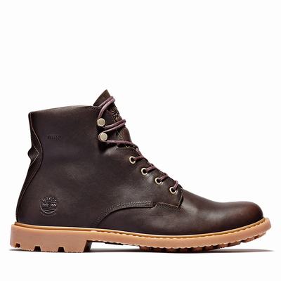 Pánské Zimní Boty Timberland Belanger EK+ 6 Inch Tmavě Hnědé | TI02498-604