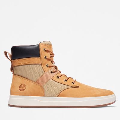 Pánské Zimní Boty Timberland Davis Square Hnědé | TI35914-412
