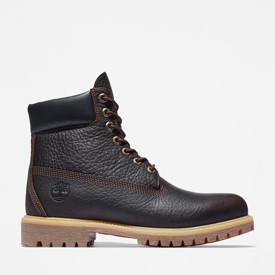 Pánské Zimní Boty Timberland Premium Extra Warm 6 Inch Hnědé | TI48720-215