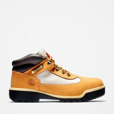 Pánské Zimní Boty Timberland Waterproof Field Hnědé | TI96203-985